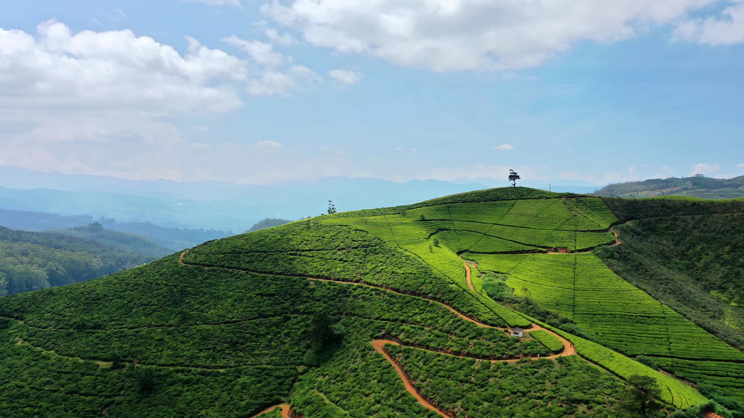Tea Trails & Ancient Kingdoms